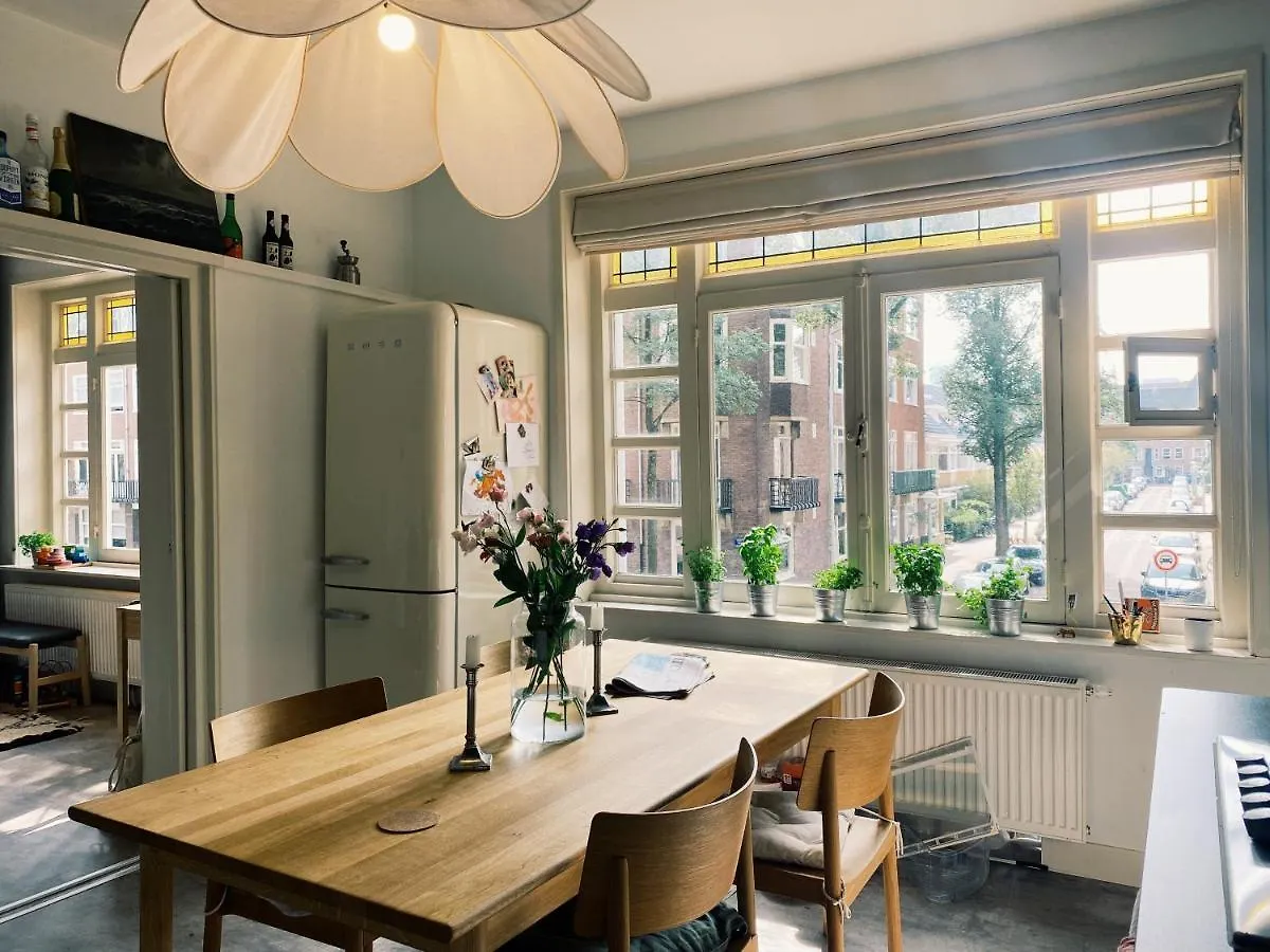 Lovely & Spacious Apartment In 'Old-South' Area Amesterdão